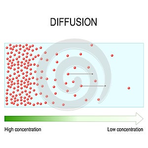 Diffusion is movement of molecules and atoms from a region of higher concentration to a region of lower concentration photo