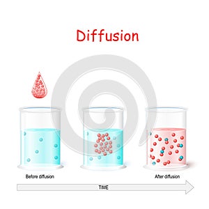 Diffusion process. Laboratory flasks with water before and after diffusion