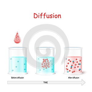 Diffusion process. Laboratory flasks with water before and after diffusion photo