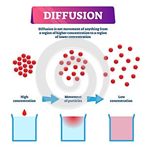 Diffusion vector illustration. Labeled educational particles mixing scheme.