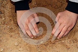 Dig a hole with your hands. A child is playing in the sandbox. Hands in the sand. Spring games