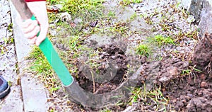 dig holes with a shovel for planting in the spring.