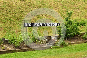 Dig For Victory Garden photo