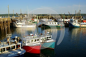 Digby fishing boats