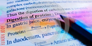 digestion of protein process displaying on book article image
