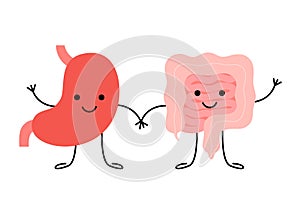 Digestive cute healthy happy stomach and intestine gut characters. Connection, unity of stomach and intestine gut