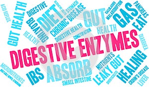 Digestive Enzymes Word Cloud