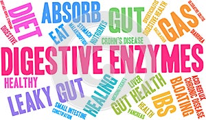 Digestive Enzymes Word Cloud photo