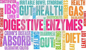 Digestive Enzymes Word Cloud