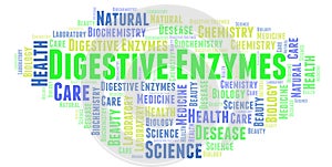 Digestive Enzymes word cloud.