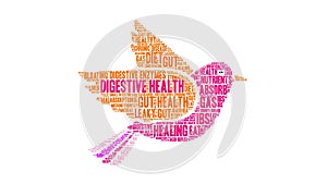 Digestive health word cloud