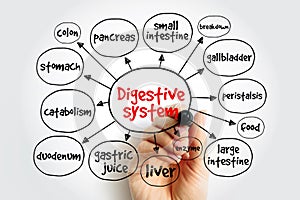 Digestive System consists of the gastrointestinal tract plus the accessory organs of digestion, mind map health concept for