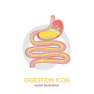 Digestive system. Gastrointestinal tract, stomach, intestine. Vector sign for ad of meds, supplements for good digestion