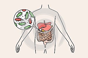 Digestive system and intestines concept.