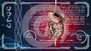 Digestive system, intestines on HUD futuristic background