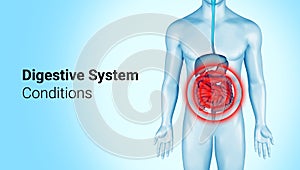 Digestive system pain on 3d illustration of male body. Intestines pain on anatomical digestive system infographic.