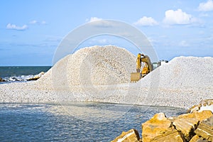 Diggers on the seashore