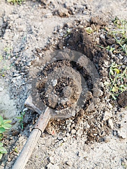 Digging of agrarian field by shovel