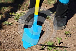 Digging Garden