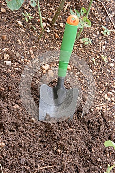 Digging the garden