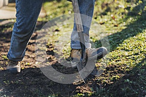 Digging the ground using a shovel, gardening and cleaning, for spring planting in the garden, close-up of a leg and a shovel