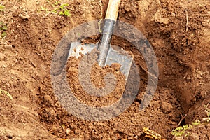 Digging a Hole for Planting a Tree