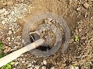 Digging a hole to plant a bush in the ground.