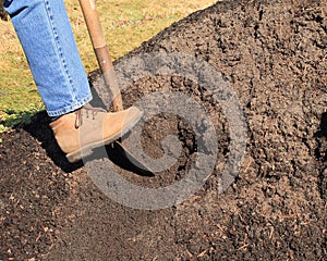 Digging in pile of topsoil