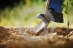 Digging soil photo