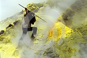 Digging sulfur photo