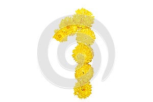 Digit one made with yellow flowers. Yellow flower digit. 1 digic composed from yellow flower