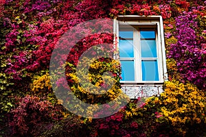 Digital 3D art of a wooden window being dominated by vivid colorful flowers, vines and leaves. beautifully lit, bokeh.