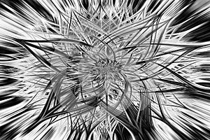 Digital abstract fractal background generated at computer in black and white