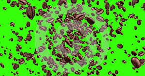 Digital animation coffee beans flying in vortex on green screen chroma key background with fade out, loop seamless