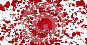 Digital animation red rose petals flying in vortex on white background with fade out, loop seamless