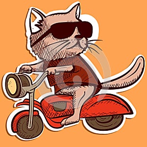 Digital art of a cool cat with sunglasses riding a motorcycle. Cartoon character of a kitty biker riding a motor