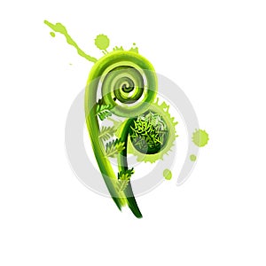 Digital art Fiddleheads, fiddlehead greens, Fiddlehead fern isolated on white background. Organic healthy food. Green vegetable.