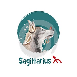 Digital art illustration of astrological sign Sagittarius. 2018 year of dog. Ninth of twelve zodiac signs. Horoscope fire element