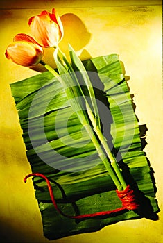 Digital art Painting - colorful on green tulipan photo