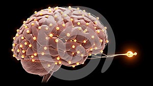 The image conveys themes of technology and cognitive processes