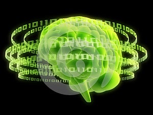 Digital brain