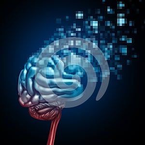 Digital Brain