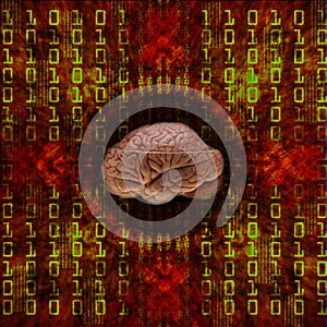 Digital brain
