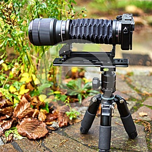 Digital camera with bellows and zoom lens on a pocket tripod, macro photography arrangement