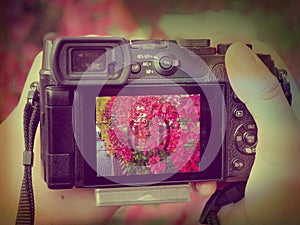 Digital camera with touchtable display on autumn leaves