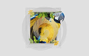 Digital collage 3D modern art, Colorful Macaw parrot, get out of picture frame