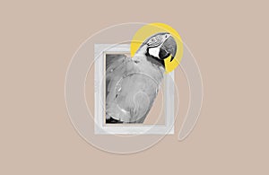 Digital collage, bird get out of picture frame