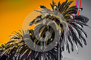 Digital collage with summer palm trees