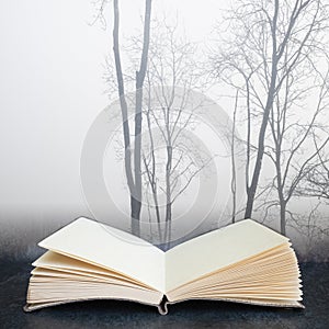 Digital composite concept image of open book wth Moody dramatic foggy forest landscape Spring Autumn Fall
