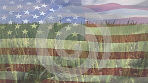 Digital composition of waving american flag against close up of crops in farm field